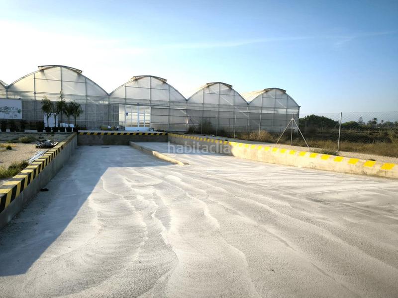 Foto 5b58e0ef-1cc2-49f8-9363-a2d0601c4e68. Finca rústica a Las Bayas Elche / Elx