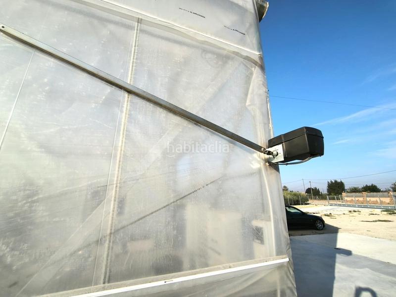 Foto 5caecd2f-762b-4fb6-a744-c865c532a4b1. Finca rústica a Las Bayas Elche / Elx