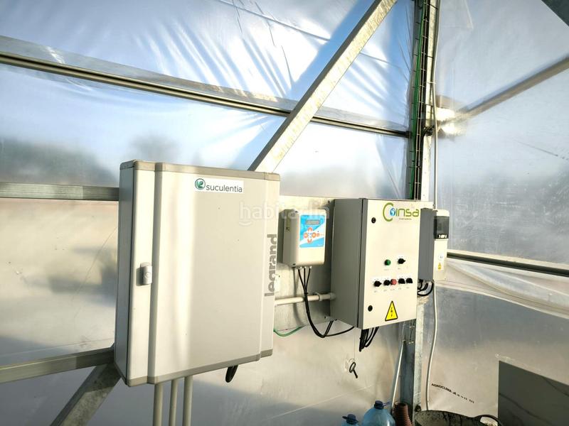 Foto 5e26a921-3090-4e6f-8050-be8c822a7201. Finca rústica a Las Bayas Elche / Elx