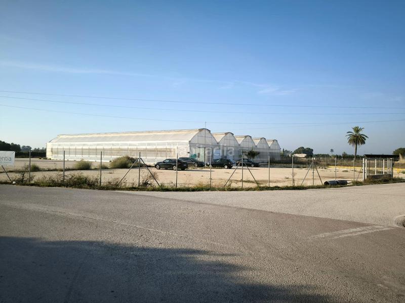 Foto 6405deee-4a3f-47dd-b3ce-568a0c8bbc38. Finca rústica a Las Bayas Elche / Elx