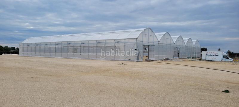 Foto 6f0621e8-dba3-4052-90e6-f1eb98c8b1c2. Finca rústica a Las Bayas Elche / Elx