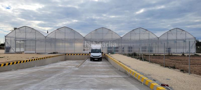 Foto 719fabe2-d3ce-4b4c-b9fa-7986e4c37ec4. Finca rústica a Las Bayas Elche / Elx