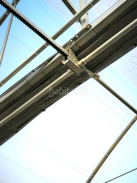 Foto 7775ff4d-2abf-41f4-9ba9-b968dad7c245. Finca rústica a Las Bayas Elche / Elx