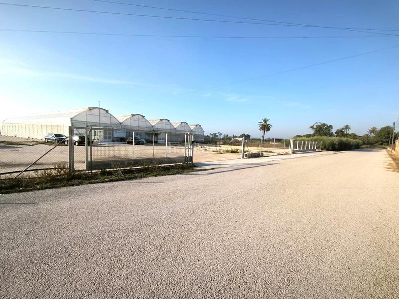 Foto 84c880d5-3f5d-4c51-88a2-7e3c4bbad695. Finca rústica a Las Bayas Elche / Elx