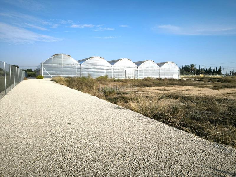 Foto 858ba29e-36dd-4245-aee0-d0dddcca2cdf. Finca rústica a Las Bayas Elche / Elx