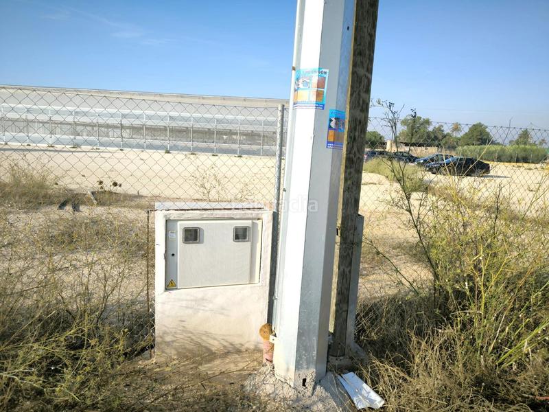 Foto 8c3cd37b-4913-42ff-b650-dc8db2d3647e. Finca rústica a Las Bayas Elche / Elx