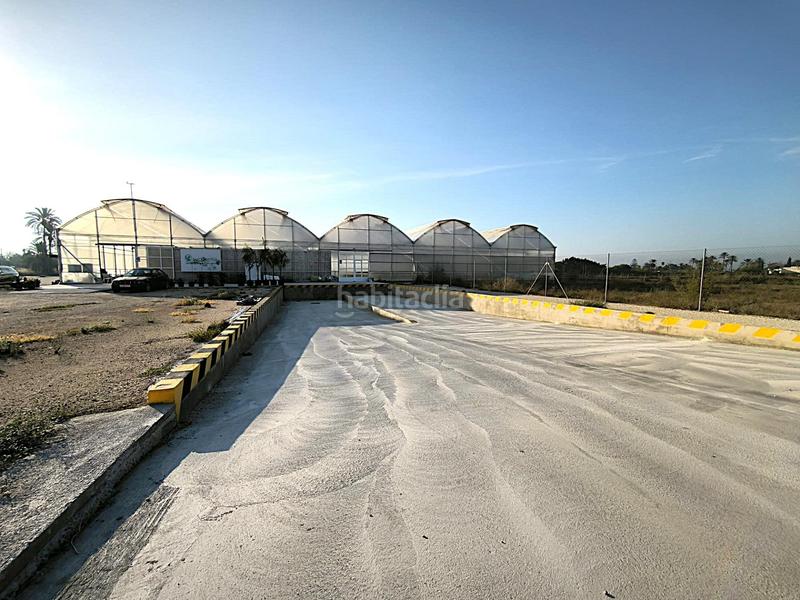 Foto 93f79832-4b02-454f-82b5-8d586629a285. Finca rústica a Las Bayas Elche / Elx