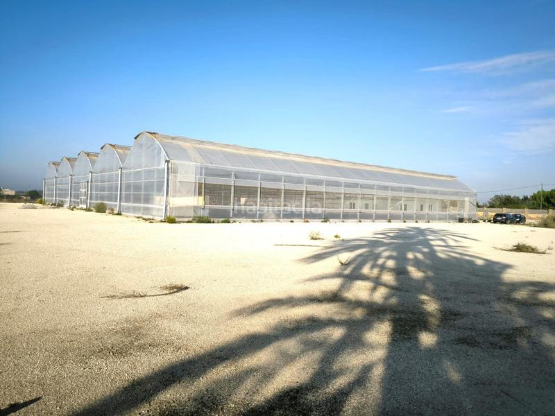 Foto 9abe36c8-b43e-4580-8181-60c6db68af23. Finca rústica a Las Bayas Elche / Elx