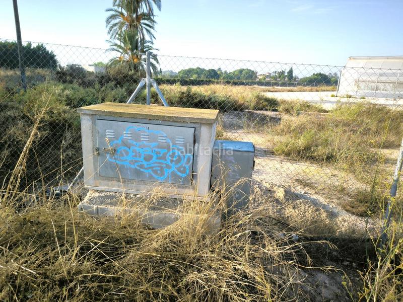 Foto 9fe74e00-c1fd-43fe-8712-ef75f0d1ccb9. Finca rústica a Las Bayas Elche / Elx