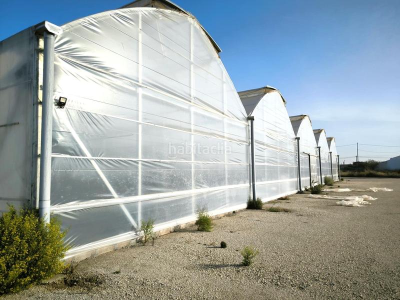 Foto a0d7916b-ca04-4efa-9987-6da0ec022740. Finca rústica a Las Bayas Elche / Elx