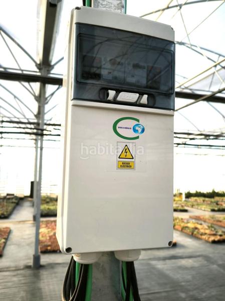 Foto a4f6c384-897b-40c9-b64c-7ab7db5f28dc. Finca rústica a Las Bayas Elche / Elx