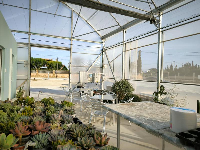 Foto a81ea230-fb7b-4ef2-af63-c4dcefe758a7. Finca rústica a Las Bayas Elche / Elx