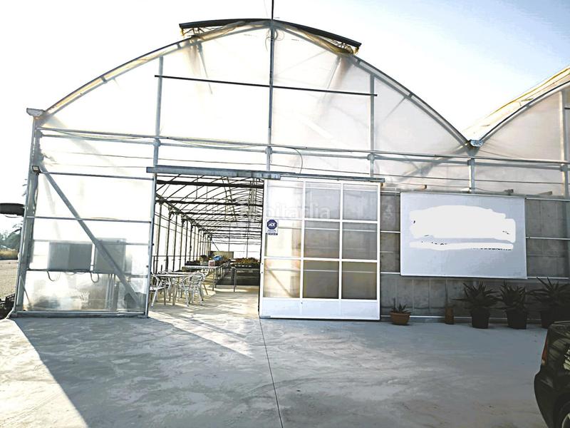 Foto b4206007-b475-42c7-b6e7-6f574fb543d3. Finca rústica a Las Bayas Elche / Elx