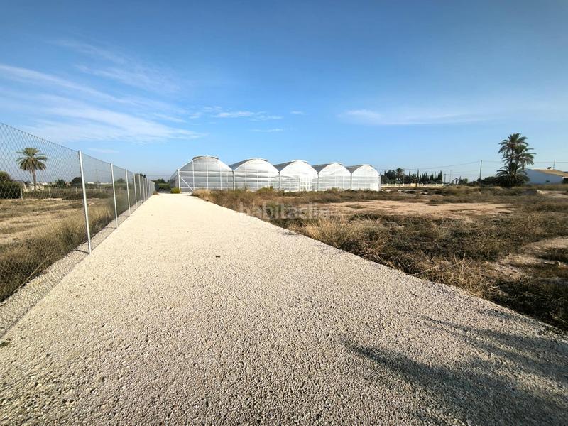 Foto b7811782-f352-43a1-a3b2-a3b3862e7084. Finca rústica a Las Bayas Elche / Elx