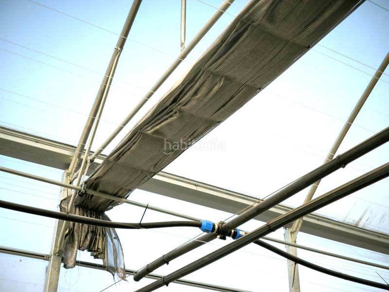 Foto bbedf421-d05c-45b5-9ea3-c39805c64a5c. Finca rústica a Las Bayas Elche / Elx