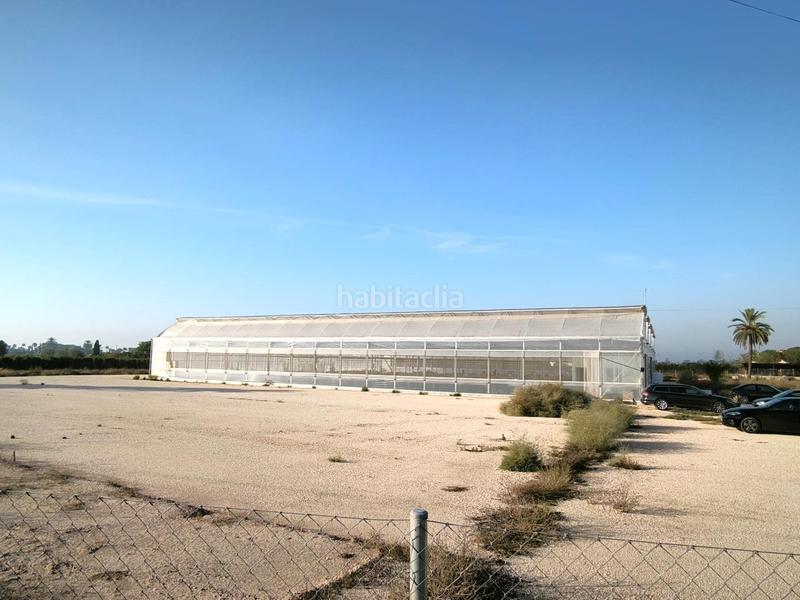 Foto c7fa5a46-caa0-4aca-bbee-cc7e854b1b6b. Finca rústica a Las Bayas Elche / Elx