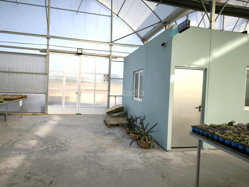 Foto c8bd357a-94a5-430c-be63-e01cf7a805a7. Finca rústica a Las Bayas Elche / Elx