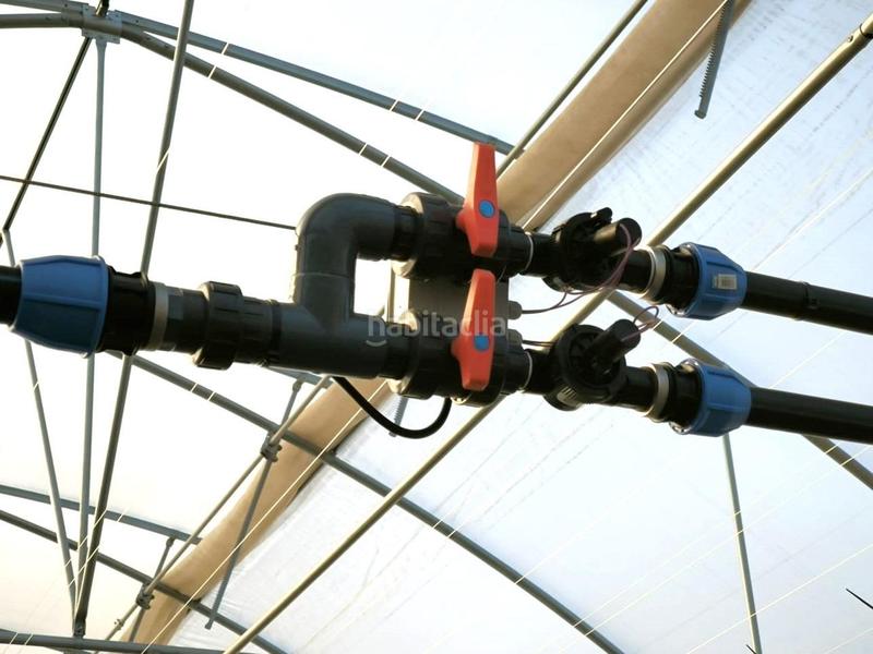 Foto c9d00265-fb41-4ae0-9578-4ec63d259e6e. Finca rústica a Las Bayas Elche / Elx