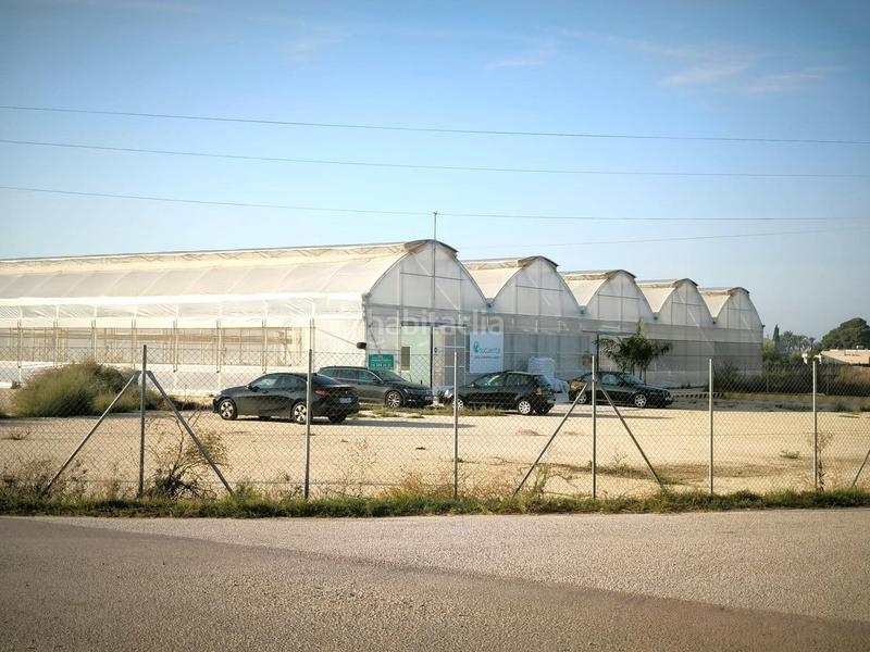 Foto cdc97f83-4e1b-4e06-a6d8-06b2f585025b. Finca rústica a Las Bayas Elche / Elx