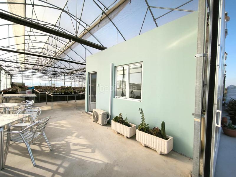 Foto e1efbf85-91df-433d-a7ba-9d6c5b1d2063. Finca rústica a Las Bayas Elche / Elx