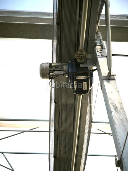 Foto e42e2ac2-fd38-46e9-89d2-972f248e720a. Finca rústica a Las Bayas Elche / Elx