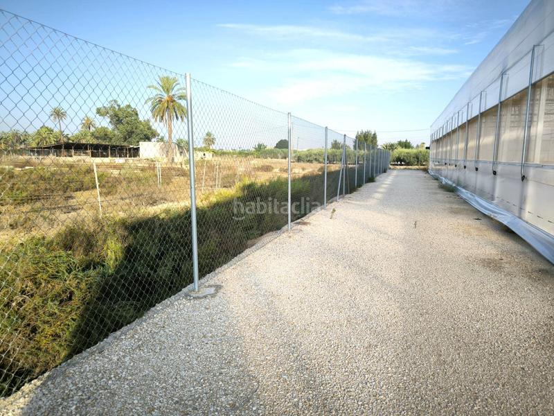 Foto e7e78854-dbb8-446a-a1f8-881f7199d7c5. Finca rústica a Las Bayas Elche / Elx