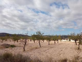 Terreny residencial  Calle de la vereda. Solar en barinas