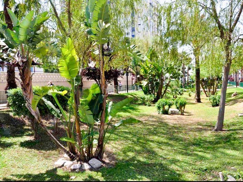 Foto f91a7f58-97f8-4b08-9611-ce6b02fff1e8. Miete etagenwohnung mit heizung parking in Playa Levante Benidorm