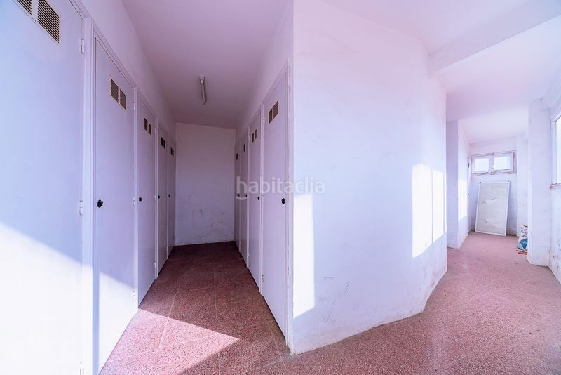 Foto 1b70e3e9-0965-455b-bcb9-35a15032863b. Pis a Reina Victoria - Miguel Hernández Elche / Elx