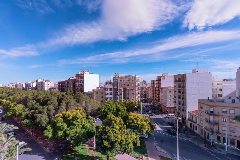 Foto 776db103-93c8-4add-bb39-b3a9d5ea29cb. Pis a Reina Victoria - Miguel Hernández Elche / Elx