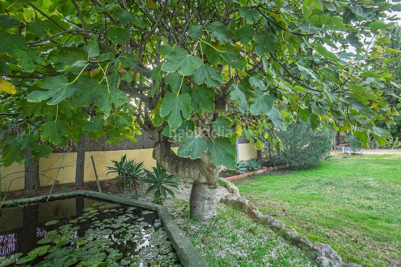 Foto 4b668be7-7660-467b-8f22-f8e6d8564bd8. Xalet amb calefacció aparcament piscina a La Viña-Montemar-San Jaime Benissa