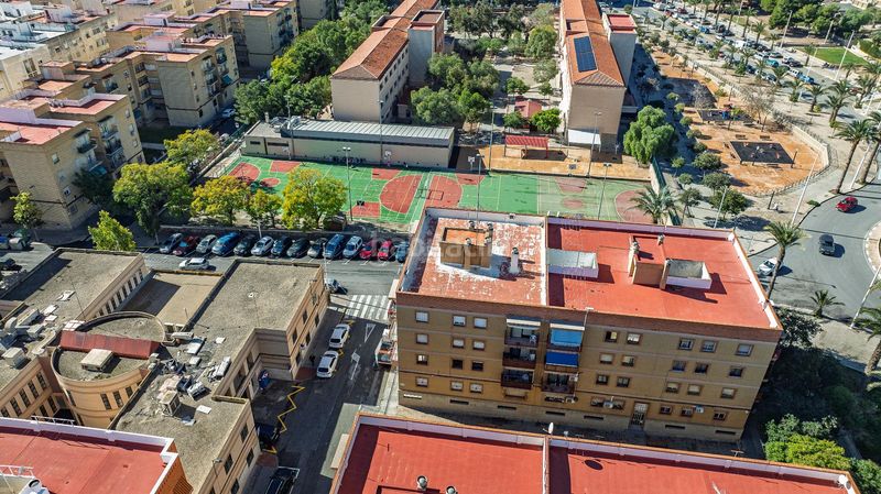 Foto a6cbf4b4-8d10-479d-bc45-373fc3046280. Pis a San Crispín Elche / Elx