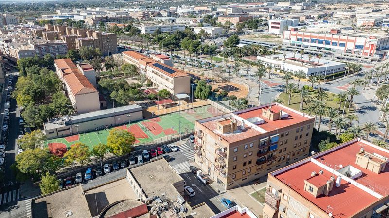 Foto d496efc1-cba4-4702-b4f3-b016253438c3. Pis a San Crispín Elche / Elx