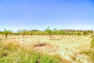 Terreny residencial a Abanilla