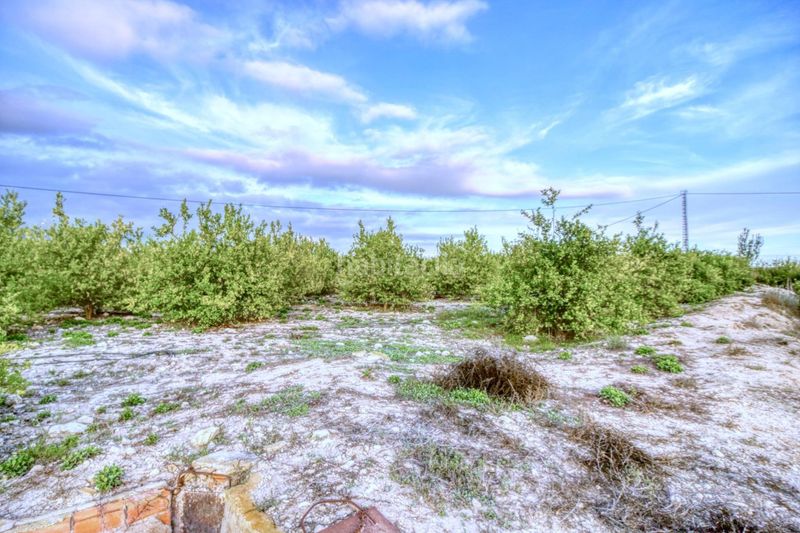 Foto a02f6598-6c3d-4aa1-b820-7ea960a1b5a6. Casa amb piscina a Albatera