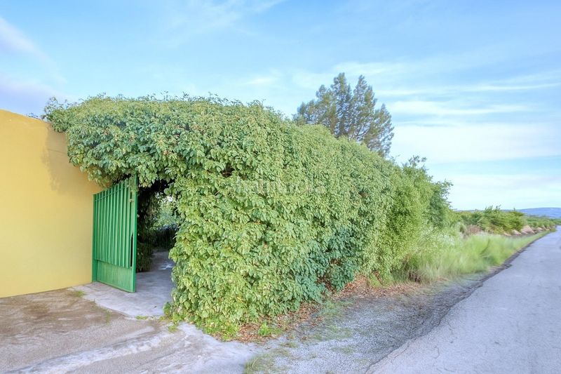 Foto c21a9c7c-2438-4527-87a2-ba20fa5863e7. Casa amb piscina a Albatera