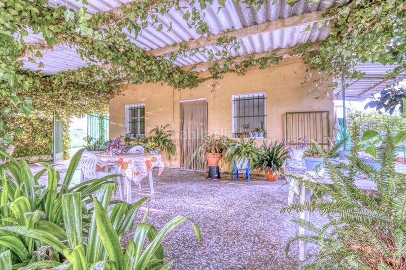 Foto ff2619b1-5c0a-48f8-81bc-493e7d7c9e7d. Casa amb piscina a Albatera
