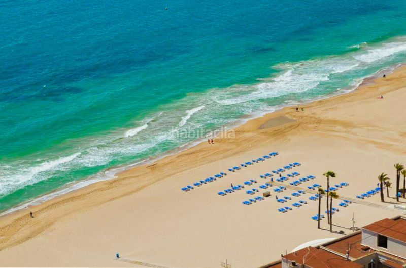 Foto 1a8c9686-d5fe-4d4c-b187-74228b245750. Àtic amb calefacció piscina a Playa Poniente Benidorm