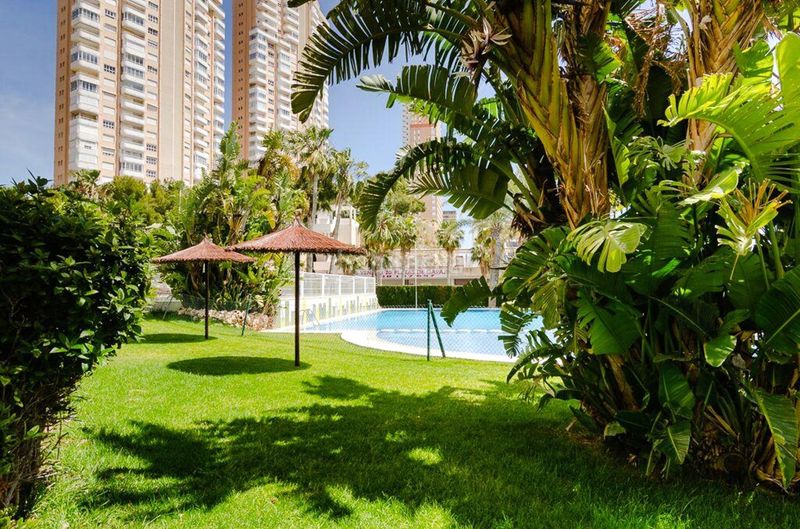 Foto 473be3a2-38da-4d59-91e2-0ab64f22863e. Àtic amb calefacció piscina a Playa Poniente Benidorm