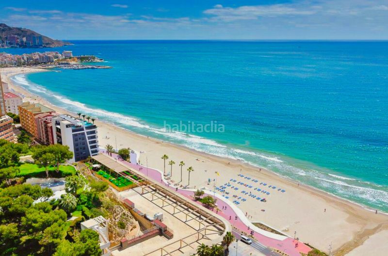 Foto 7e4fc824-f5ea-4df8-a857-3908172b0927. Àtic amb calefacció piscina a Playa Poniente Benidorm