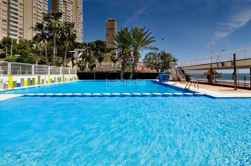 Foto 7ed80687-952a-4993-8fcb-1bcb1ba60b95. Àtic amb calefacció piscina a Playa Poniente Benidorm