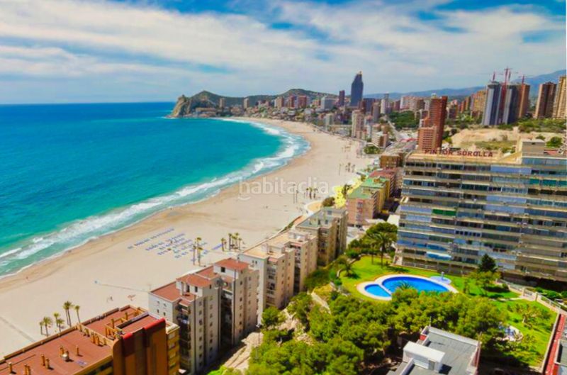 Foto b77f31c5-a550-45b2-a1fd-314964de86b4. Àtic amb calefacció piscina a Playa Poniente Benidorm