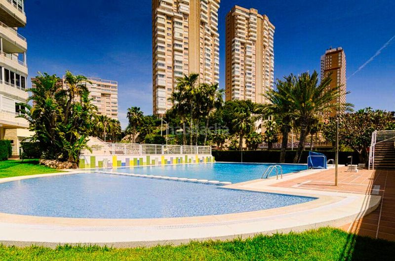 Foto c311d121-8735-48ae-bfc4-4d42bb1f8cd3. Àtic amb calefacció piscina a Playa Poniente Benidorm
