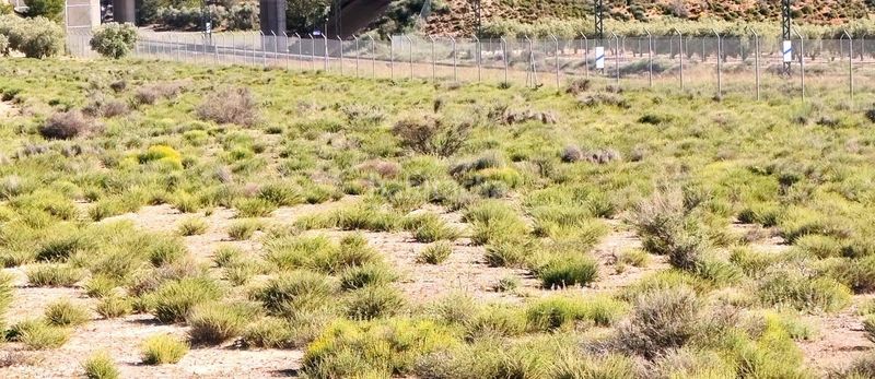 Foto d2ebdda8-a7db-4d6e-ac0e-56da9ed26ced. Finca rústica a Las Virtudes Villena