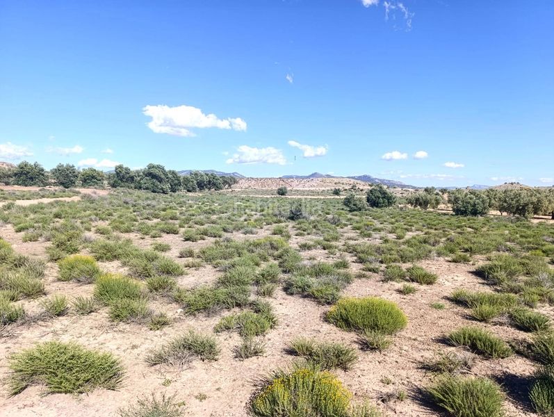 Foto 13bf28b9-27a1-4507-b877-d3a70521d196. Finca rústica a Las Virtudes Villena