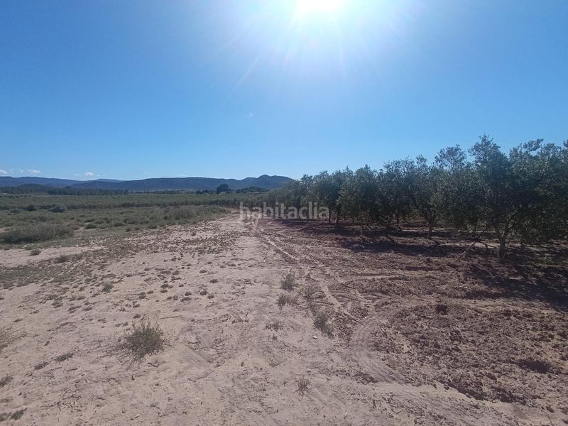 Foto e2c6a592-7588-43b4-91d6-1ef3146856e9. Finca rústica a Las Virtudes Villena