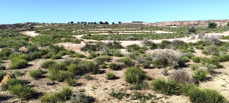 Foto f679208e-a596-4764-9882-89090267a4b6. Finca rústica a Las Virtudes Villena