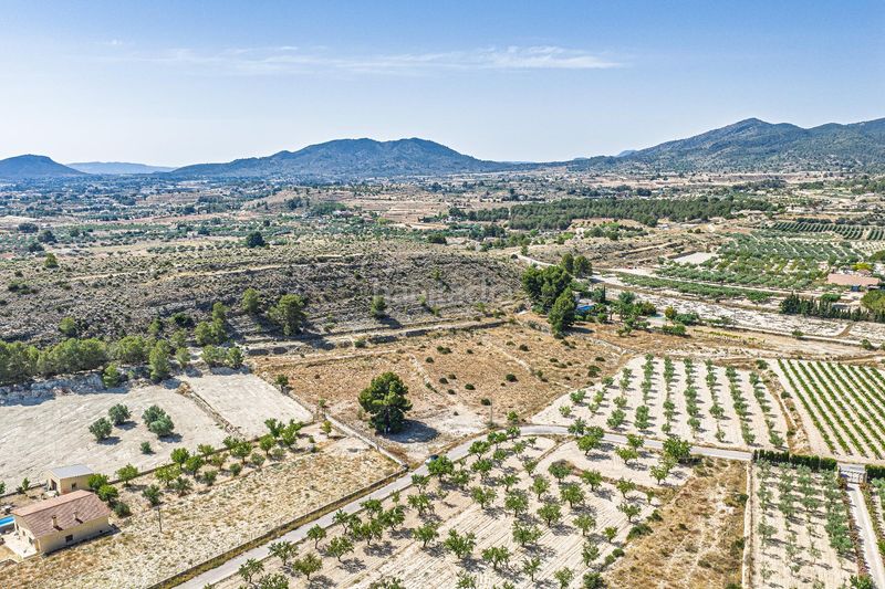 Foto 4b10017c-0e47-4911-a758-36375ce0a025. Finca rústica a Monòver