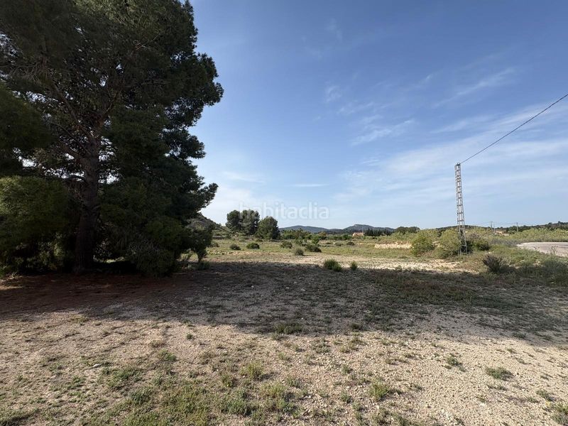 Foto b24b5ac4-cf6b-4619-bdeb-5d29498c6e0d. Finca rústica a Monòver