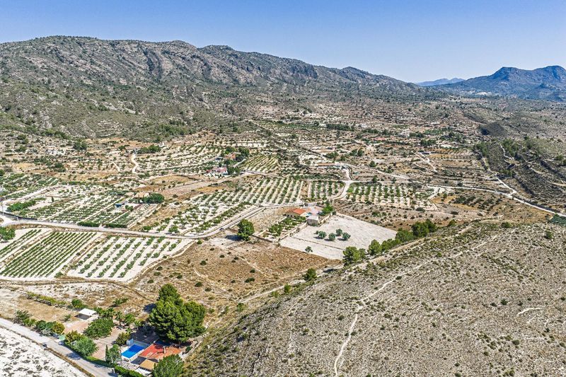 Foto c6982baf-ef03-4e60-a6f9-d4052dd85ce3. Finca rústica a Monòver